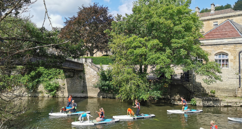 Dog Paddleboarding Bradford on Avon